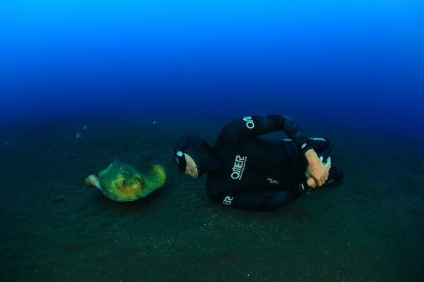 Apnea deportiva: inmersión hacia los límites del organismo y la mente